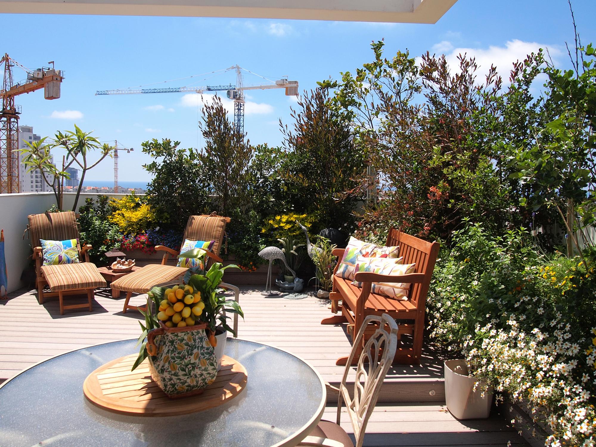 Rooftop Garden