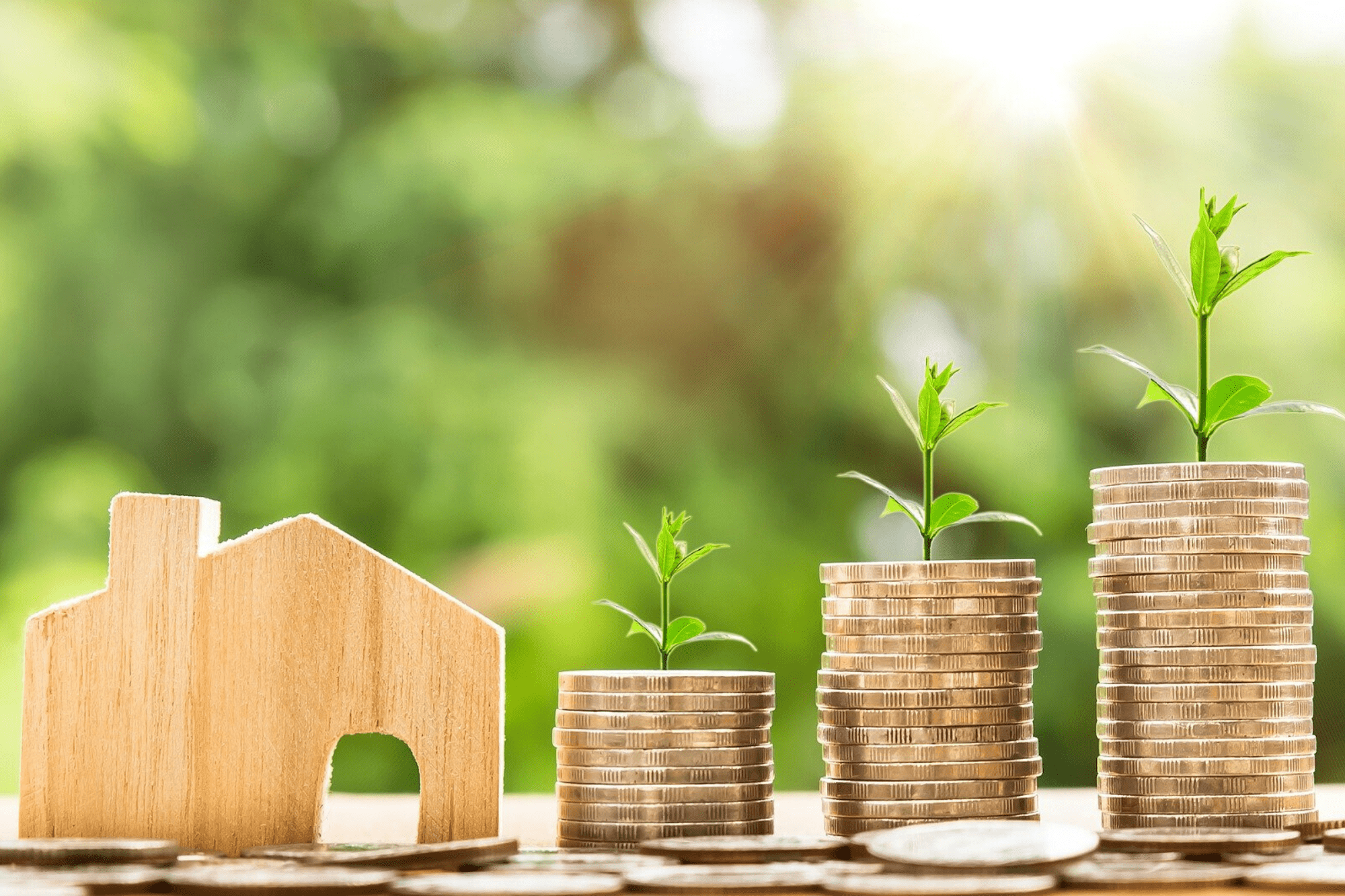 House Value Growing