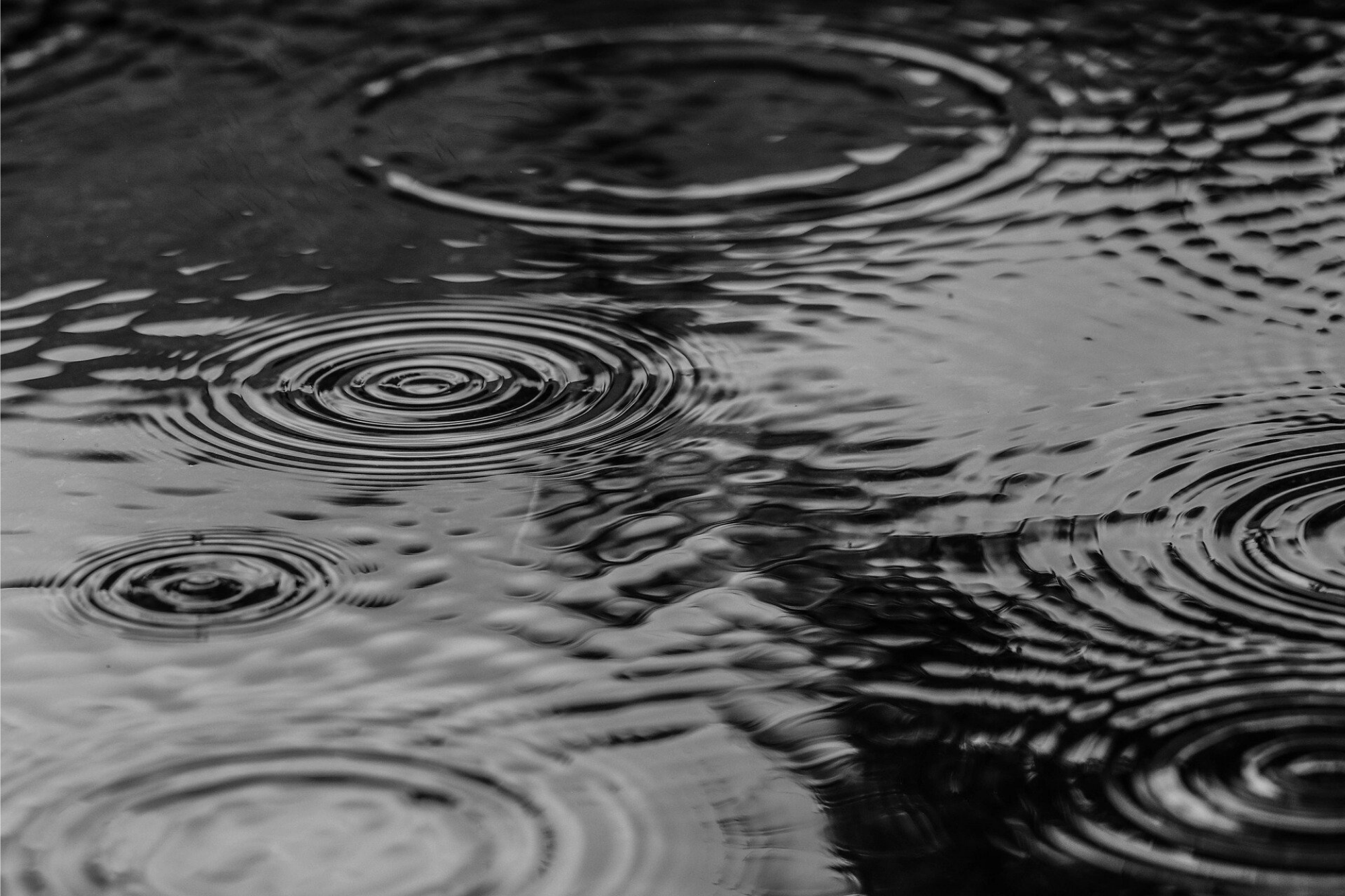 Roof Puddles