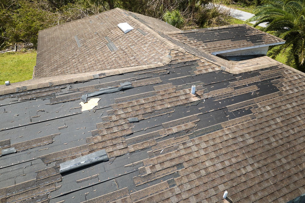 Signs You Need Roof Repair Signs You Need Roof Repair