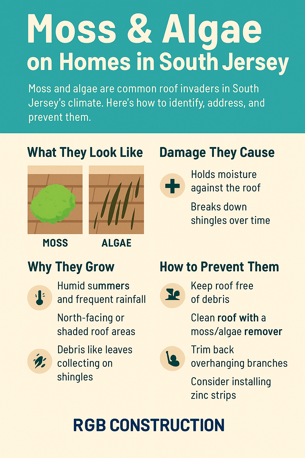 An infographic about roof moss and algae damage including what they look like and how to prevent moss and algae growth.