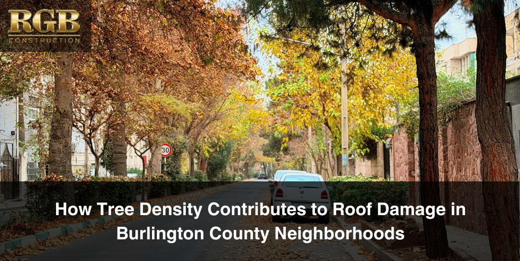 A street with high tree density, seen in autumn